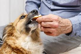 vitaminer kosttilskott hund Tös hundapotek